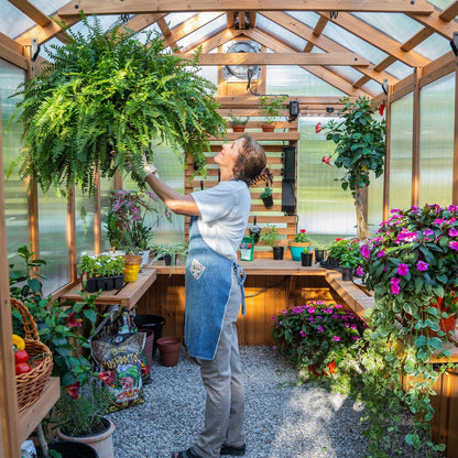 11×7 Bellerose Greenhouse