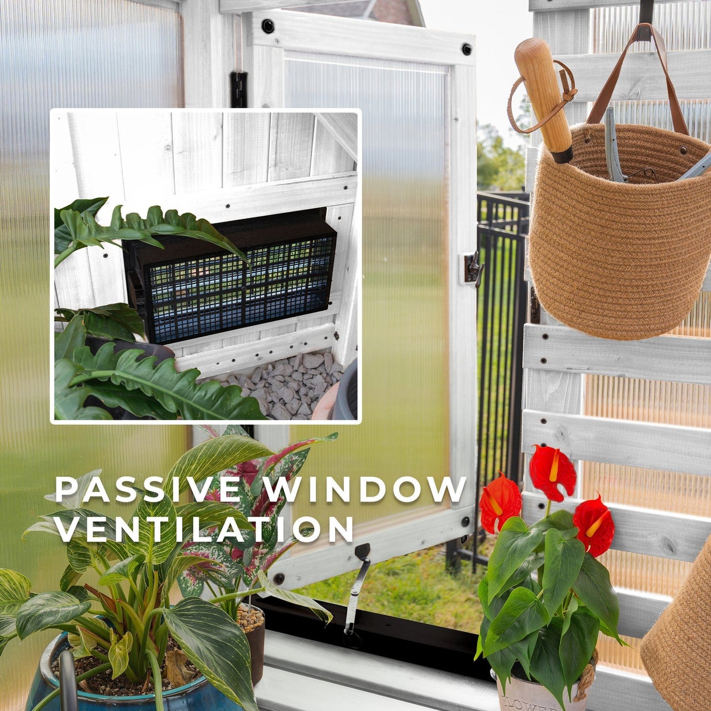 9×6 Willow Greenhouse –    Pre-Stained & Sealed White