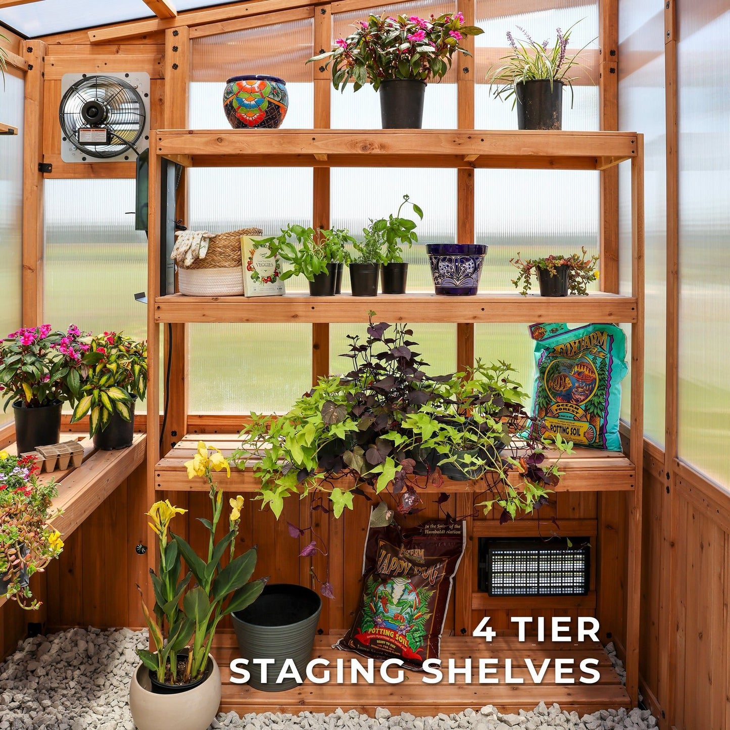 11×7 Poppy Greenhouse