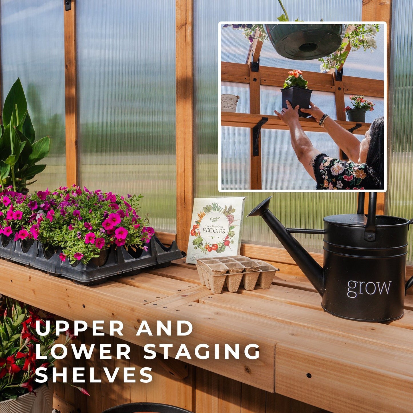 13×11 Bellerose XL Greenhouse
