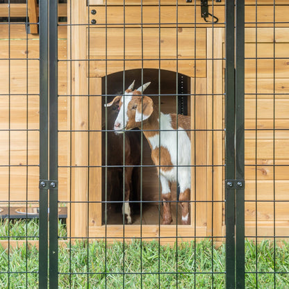 Animal Enclosure