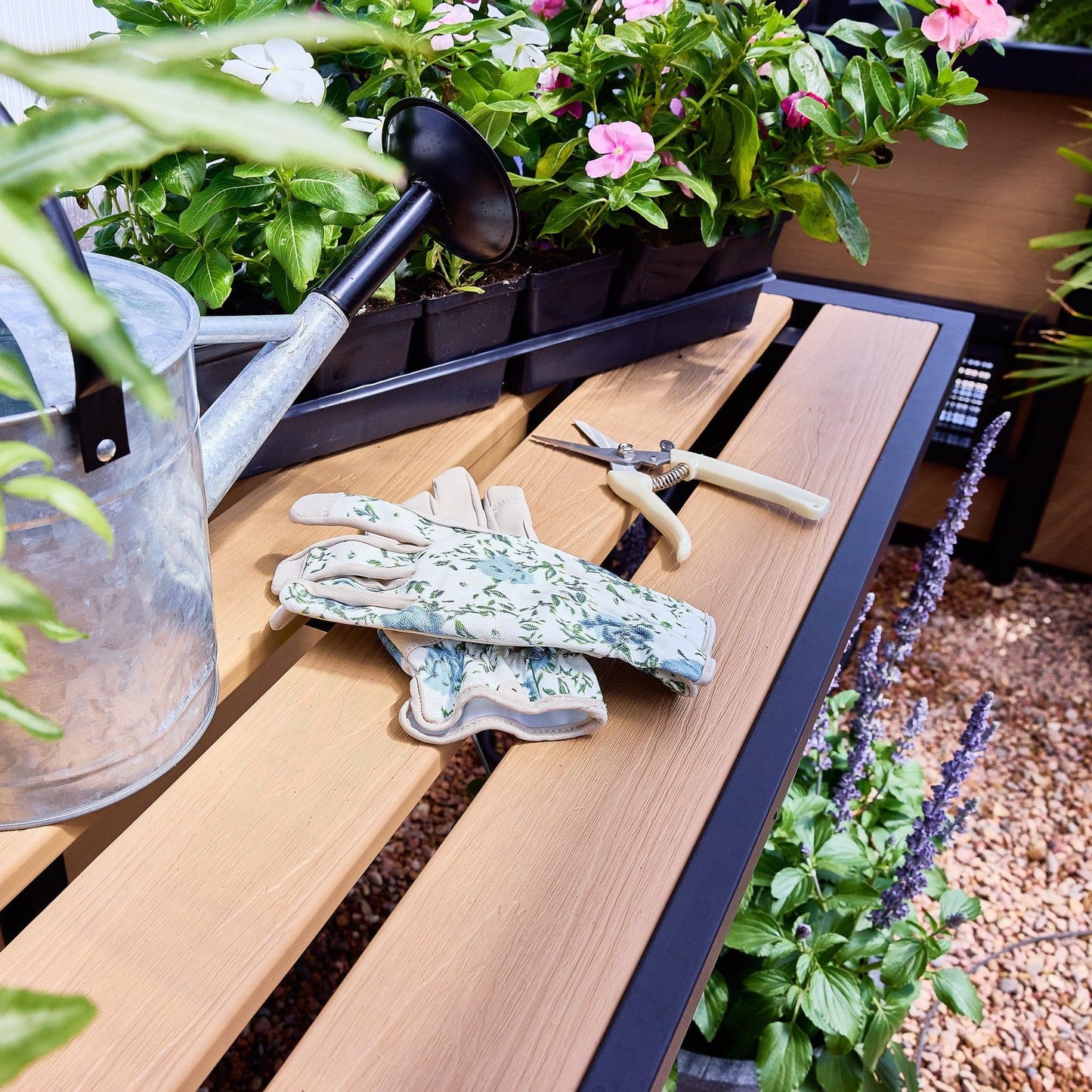14×12 Larkspur Metal Greenhouse