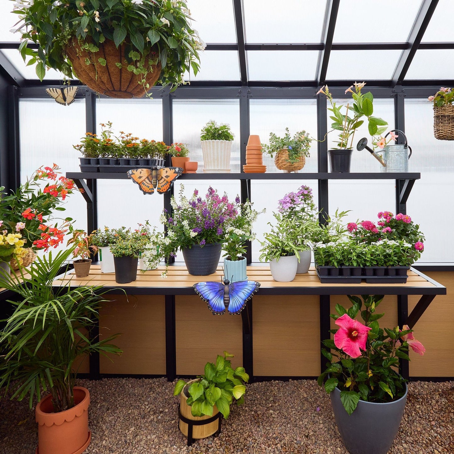 14×12 Larkspur Metal Greenhouse