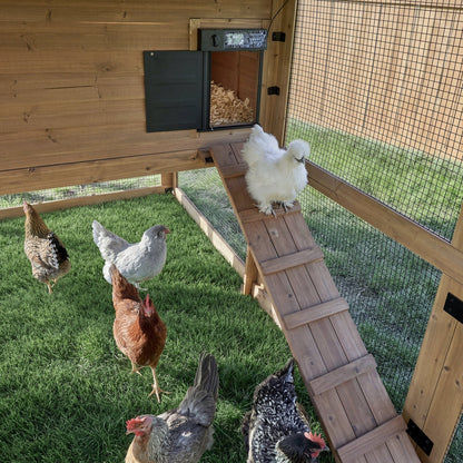 Rustic Roots Chicken Coop
