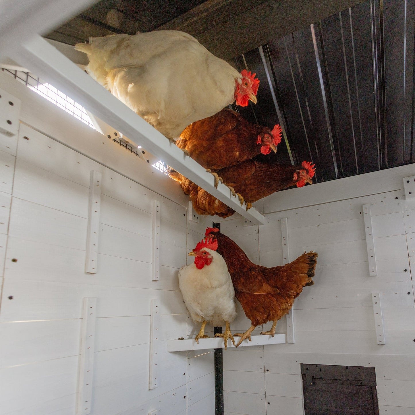 Sweetwater Chicken Coop